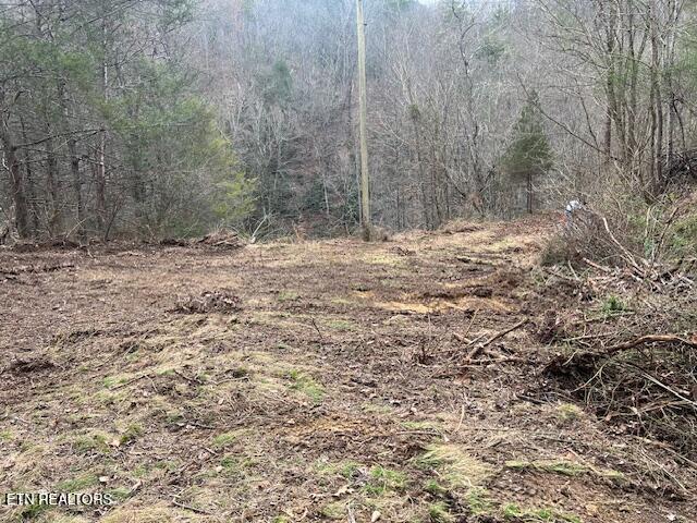 3071 Mica Way Cosby TN 37722