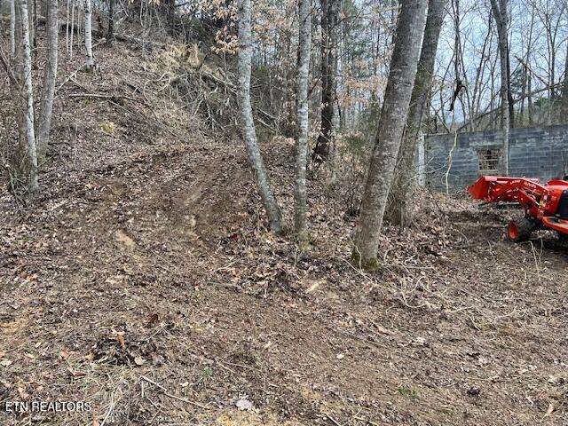 3071 Mica Way Cosby TN 37722