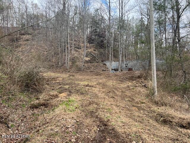 3071 Mica Way Cosby TN 37722
