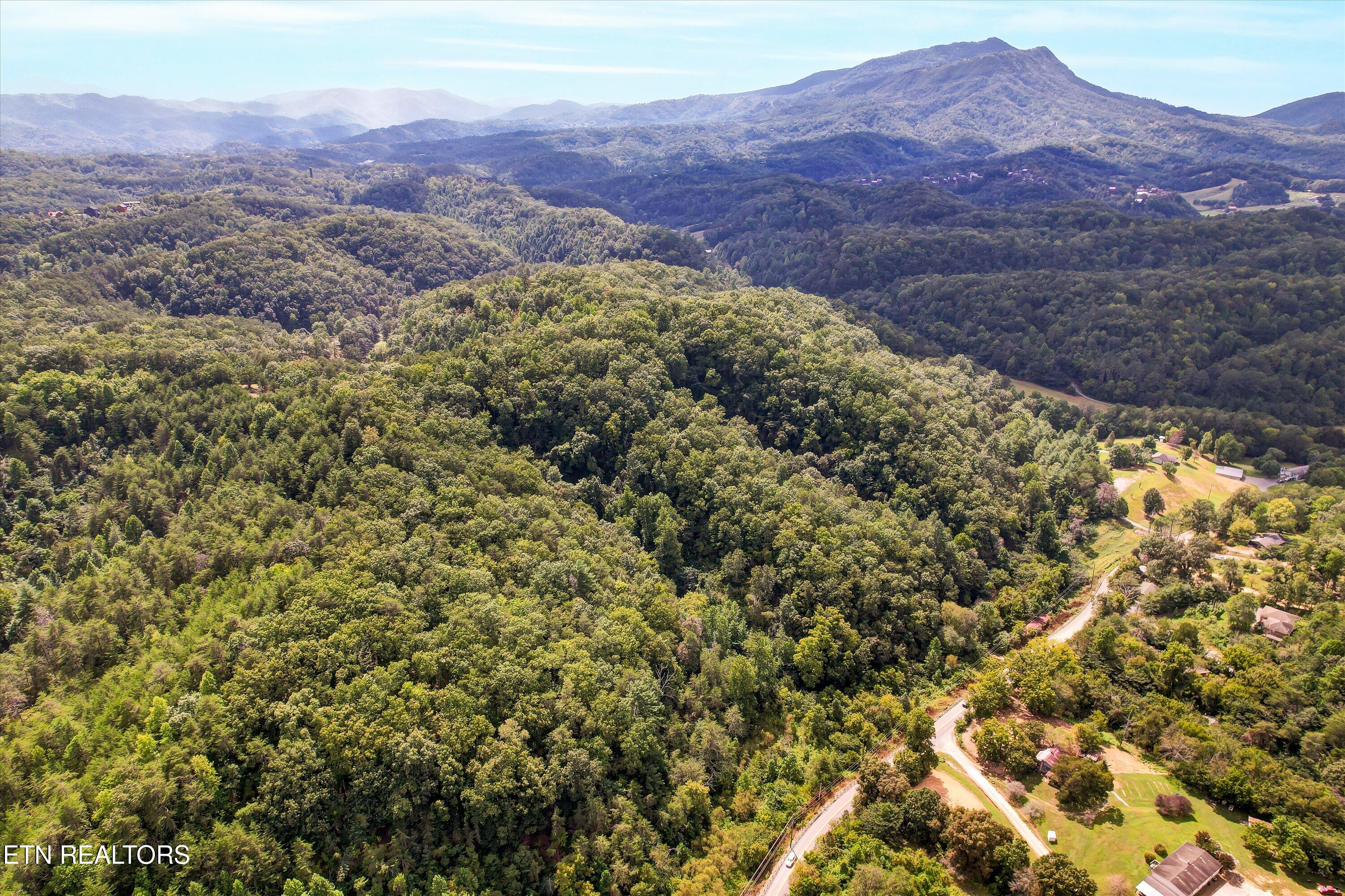 1316 River Divide Road Sevierville TN 37862