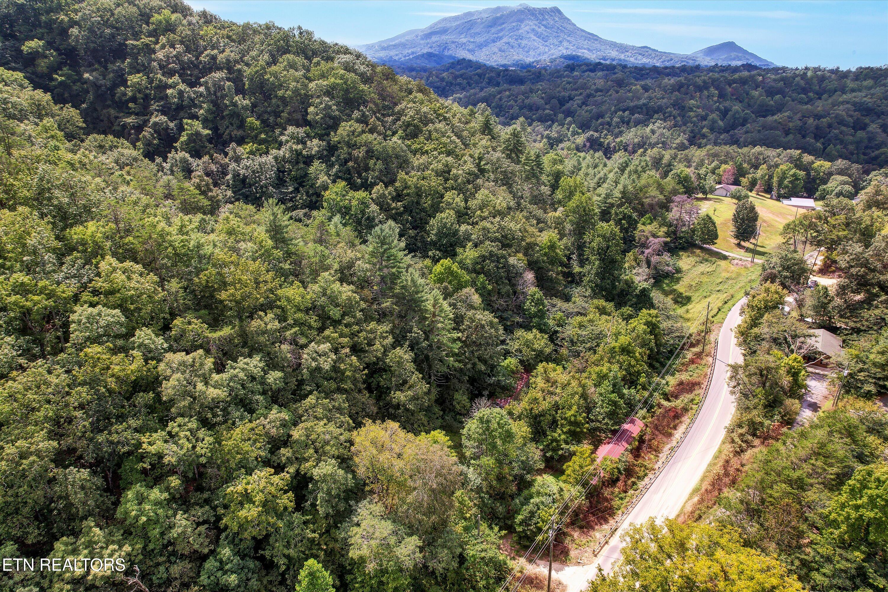 1316 River Divide Road Sevierville TN 37862