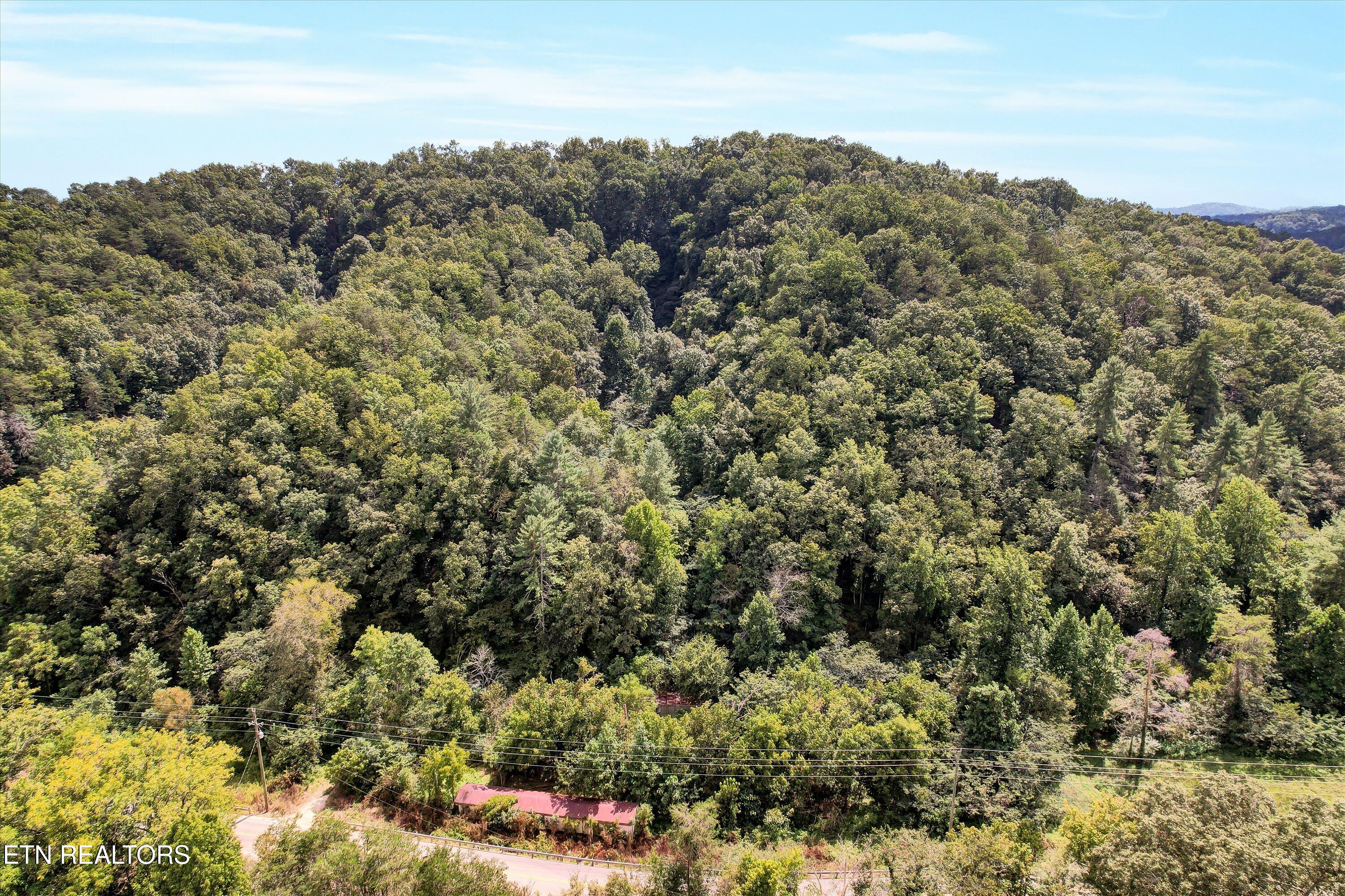 1316 River Divide Road Sevierville TN 37862