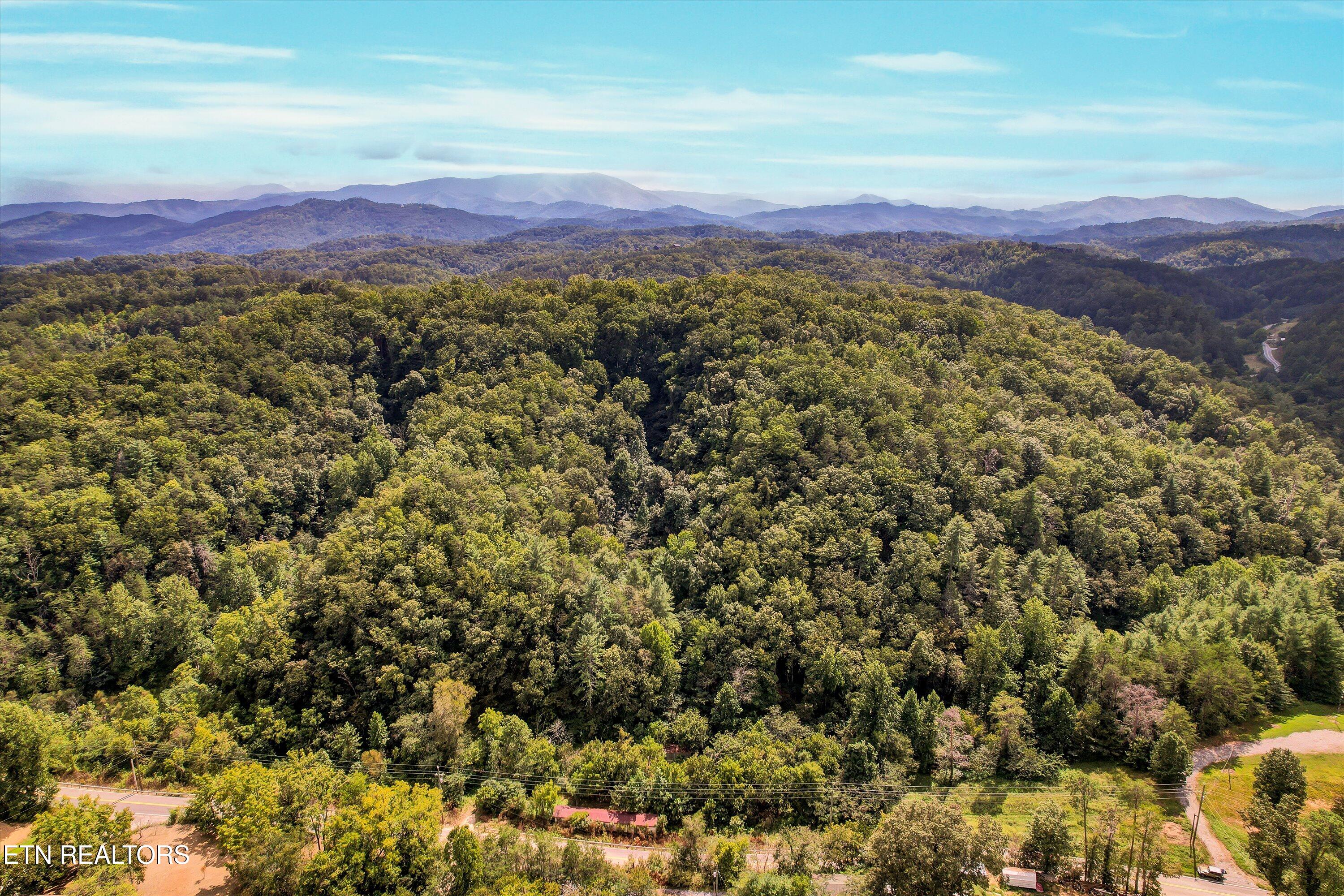 1316 River Divide Road Sevierville TN 37862