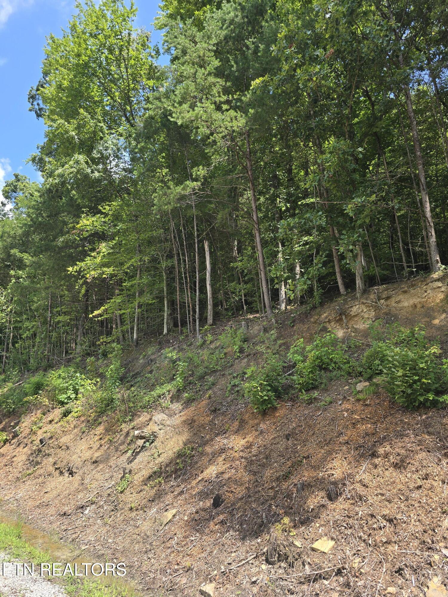 Ashley Lane Jellico TN 37762