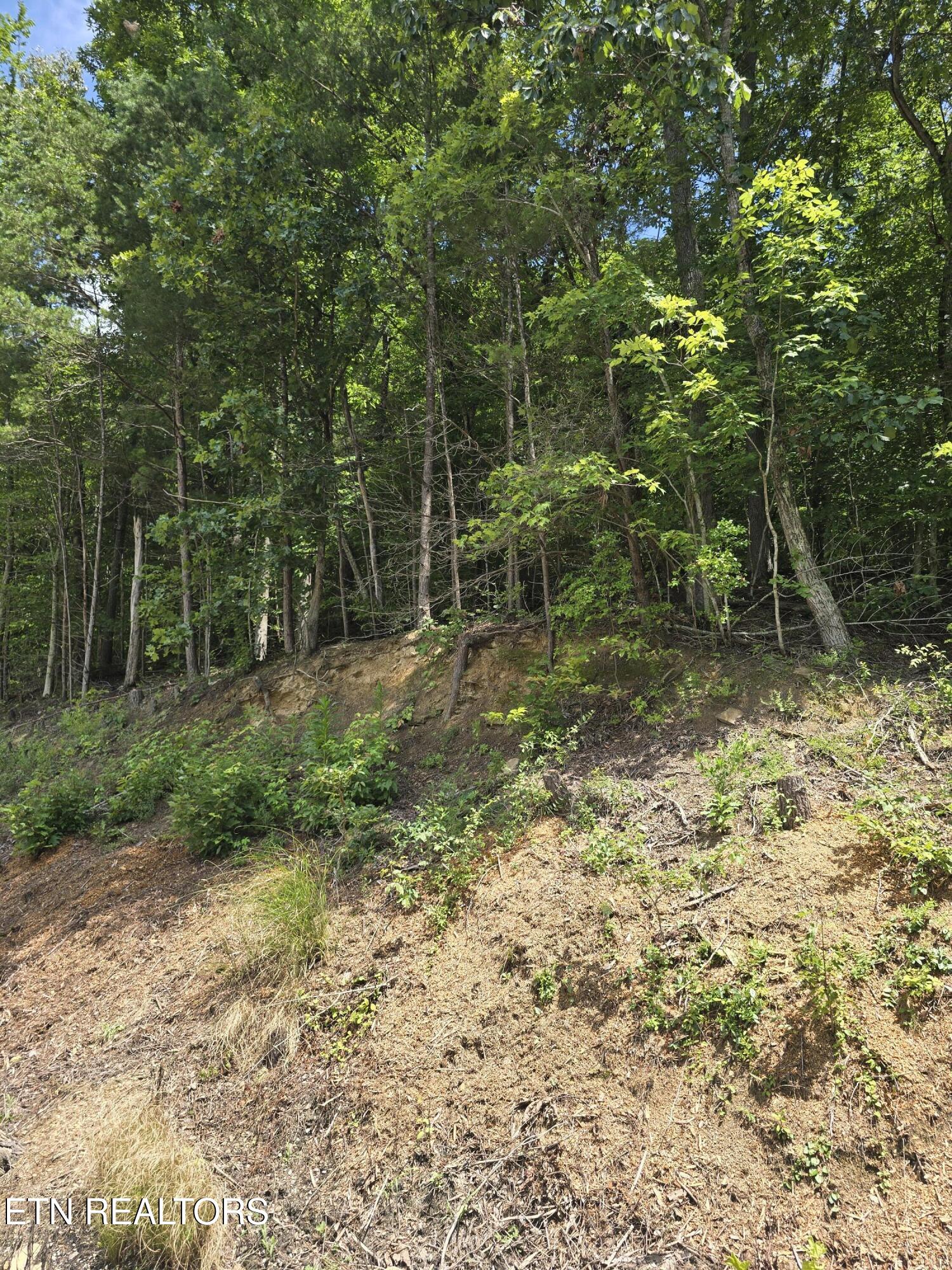 Ashley Lane Jellico TN 37762