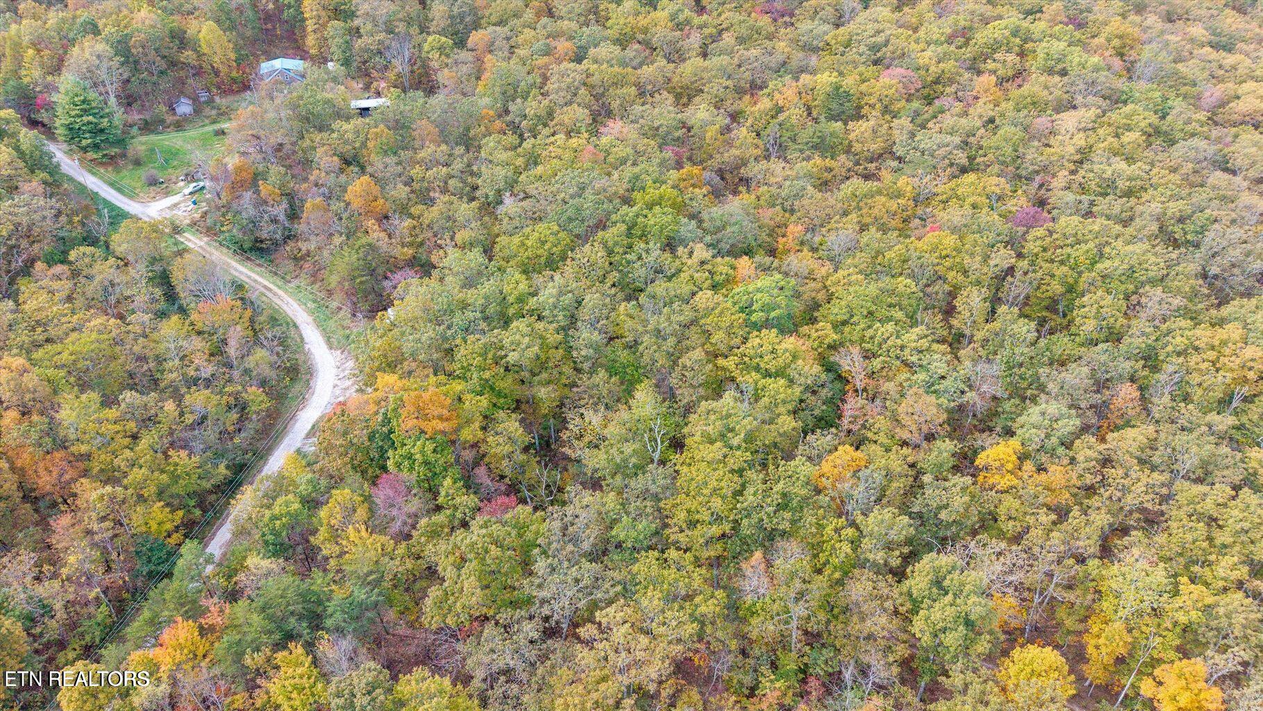 Raeanne Drive Spring City TN 37381