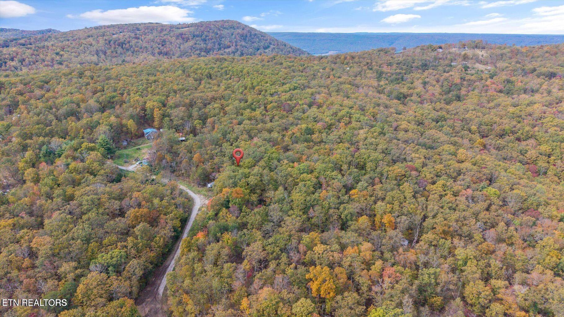 Raeanne Drive Spring City TN 37381