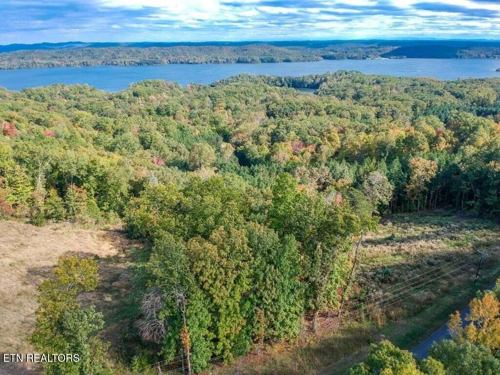 Lot 272 Spruce Drive Spring City TN 37381