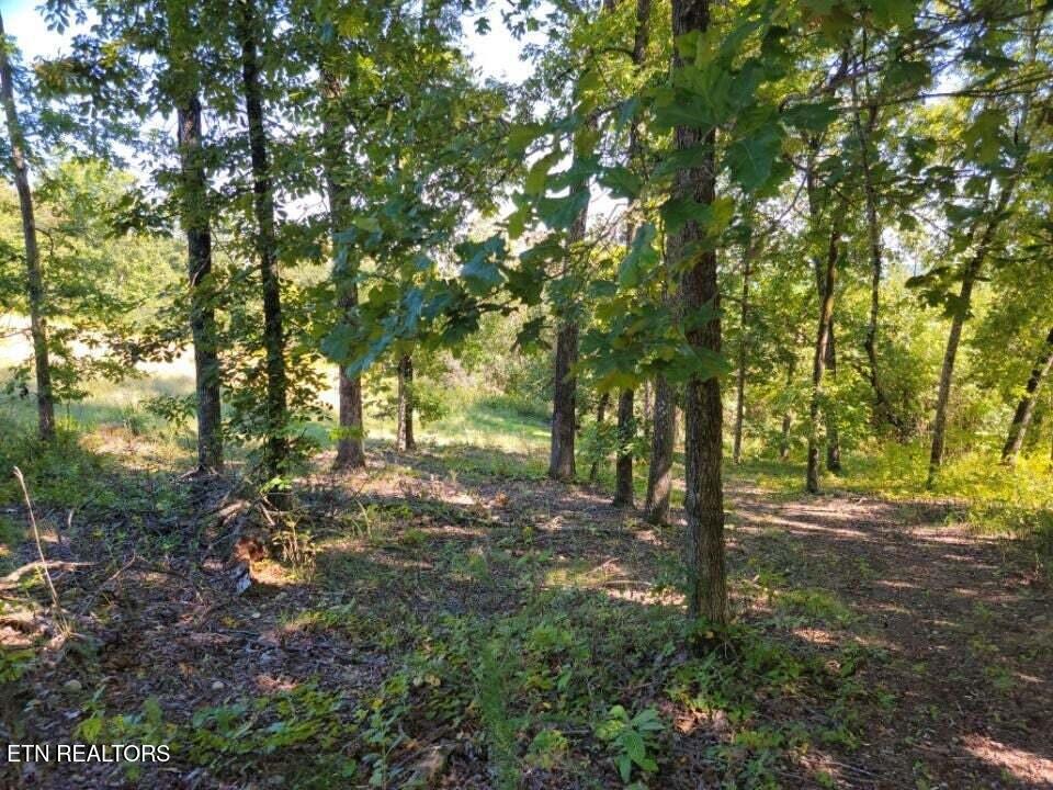 Lot 272 Spruce Drive Spring City TN 37381
