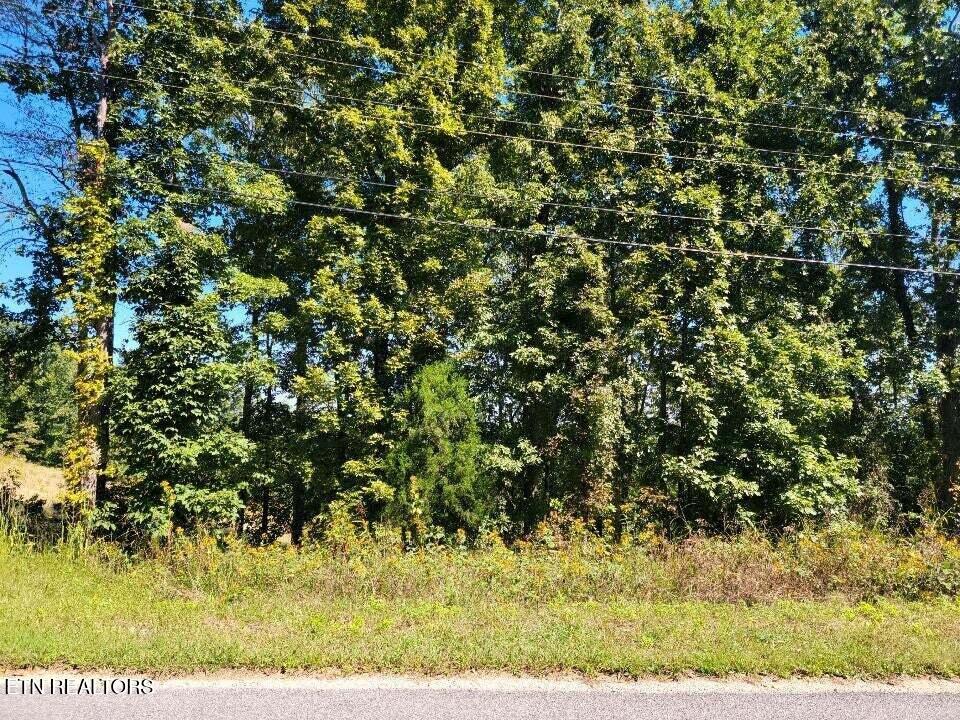 Lot 272 Spruce Drive Spring City TN 37381