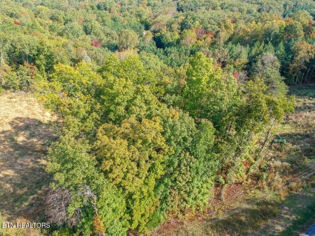 Lot 272 Spruce Drive Spring City TN 37381