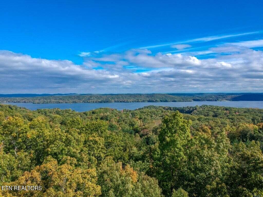 Lot 272 Spruce Drive Spring City TN 37381