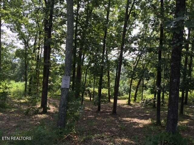 Lot 272 Spruce Drive Spring City TN 37381