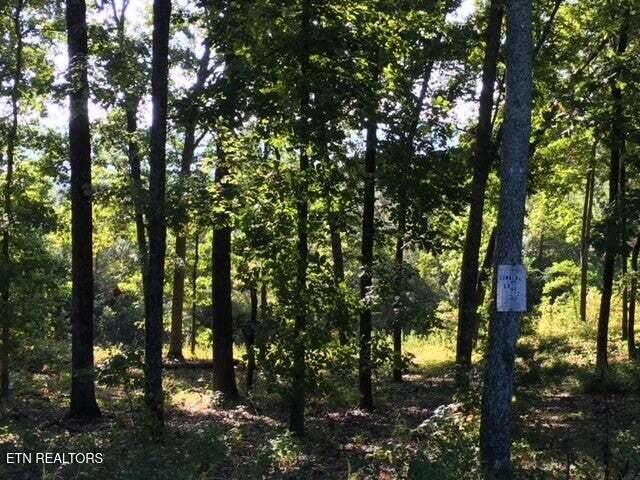 Lot 272 Spruce Drive Spring City TN 37381