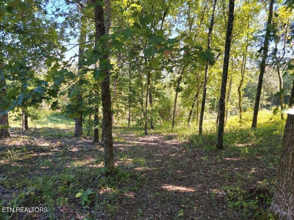 Lot 272 Spruce Drive Spring City TN 37381