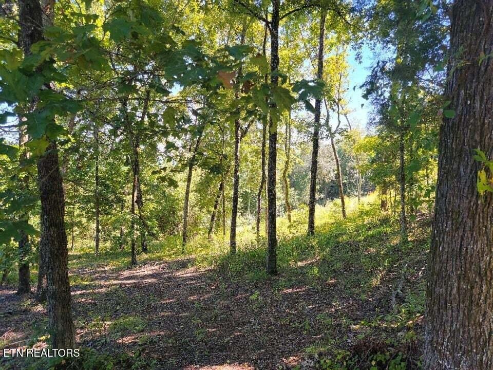 Lot 272 Spruce Drive Spring City TN 37381