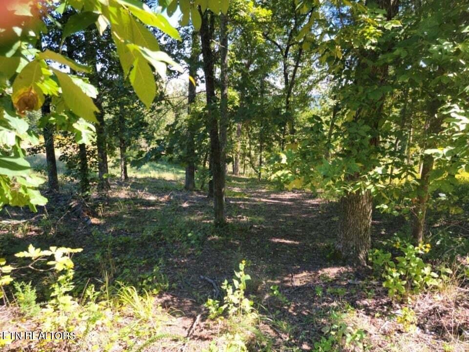 Lot 272 Spruce Drive Spring City TN 37381
