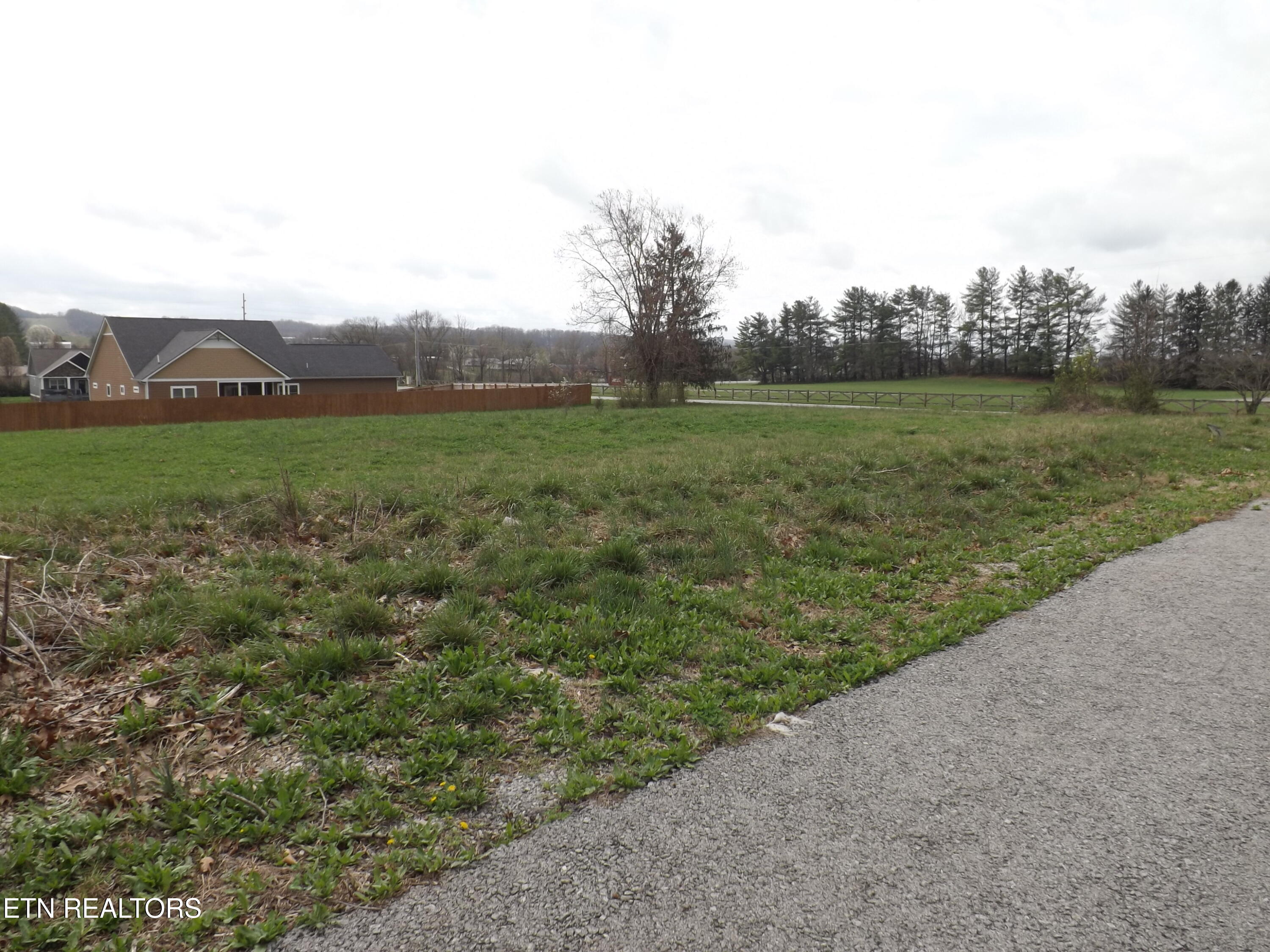 112 Auggie Belle Lane Speedwell TN 37870