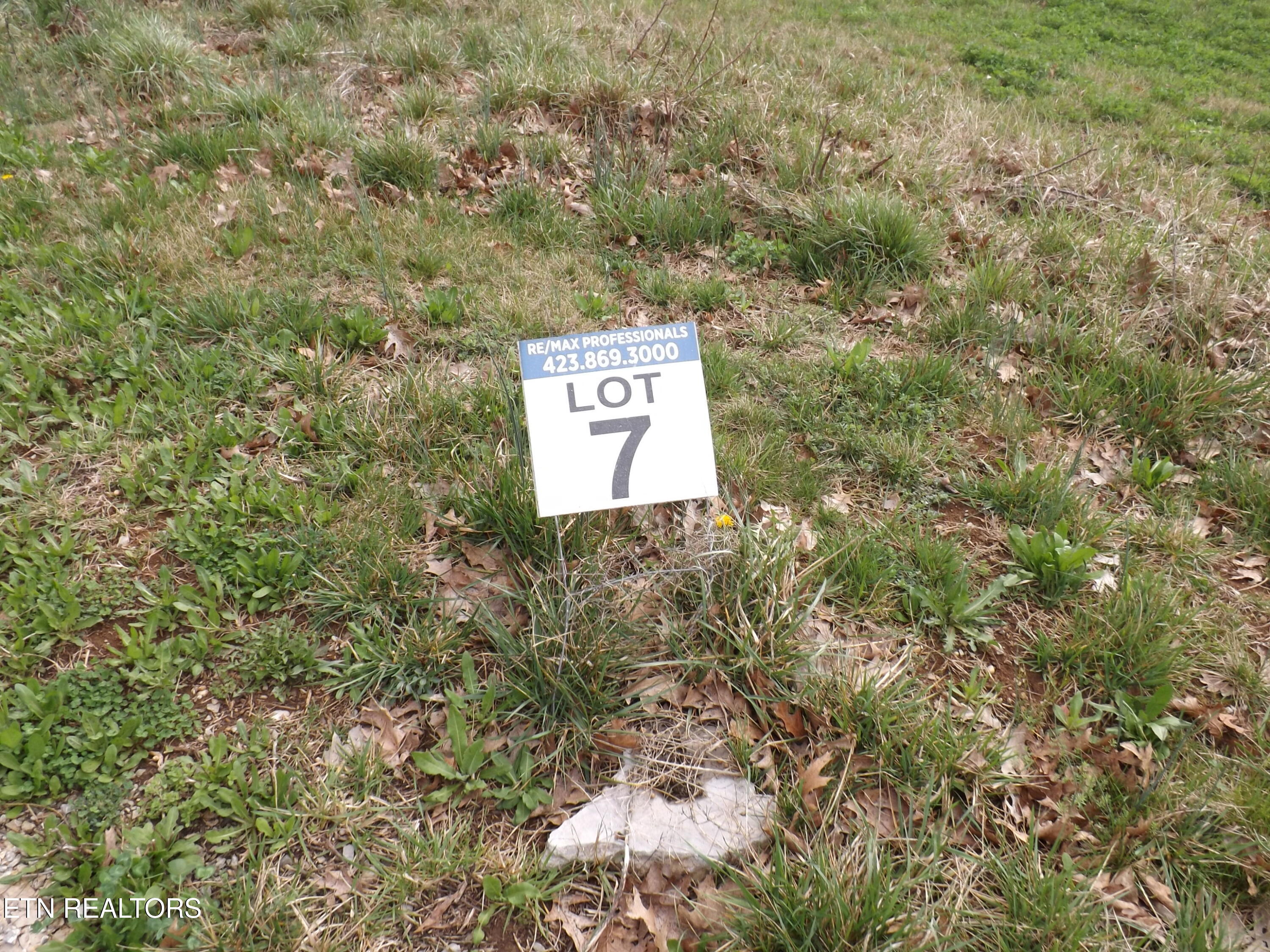 112 Auggie Belle Lane Speedwell TN 37870