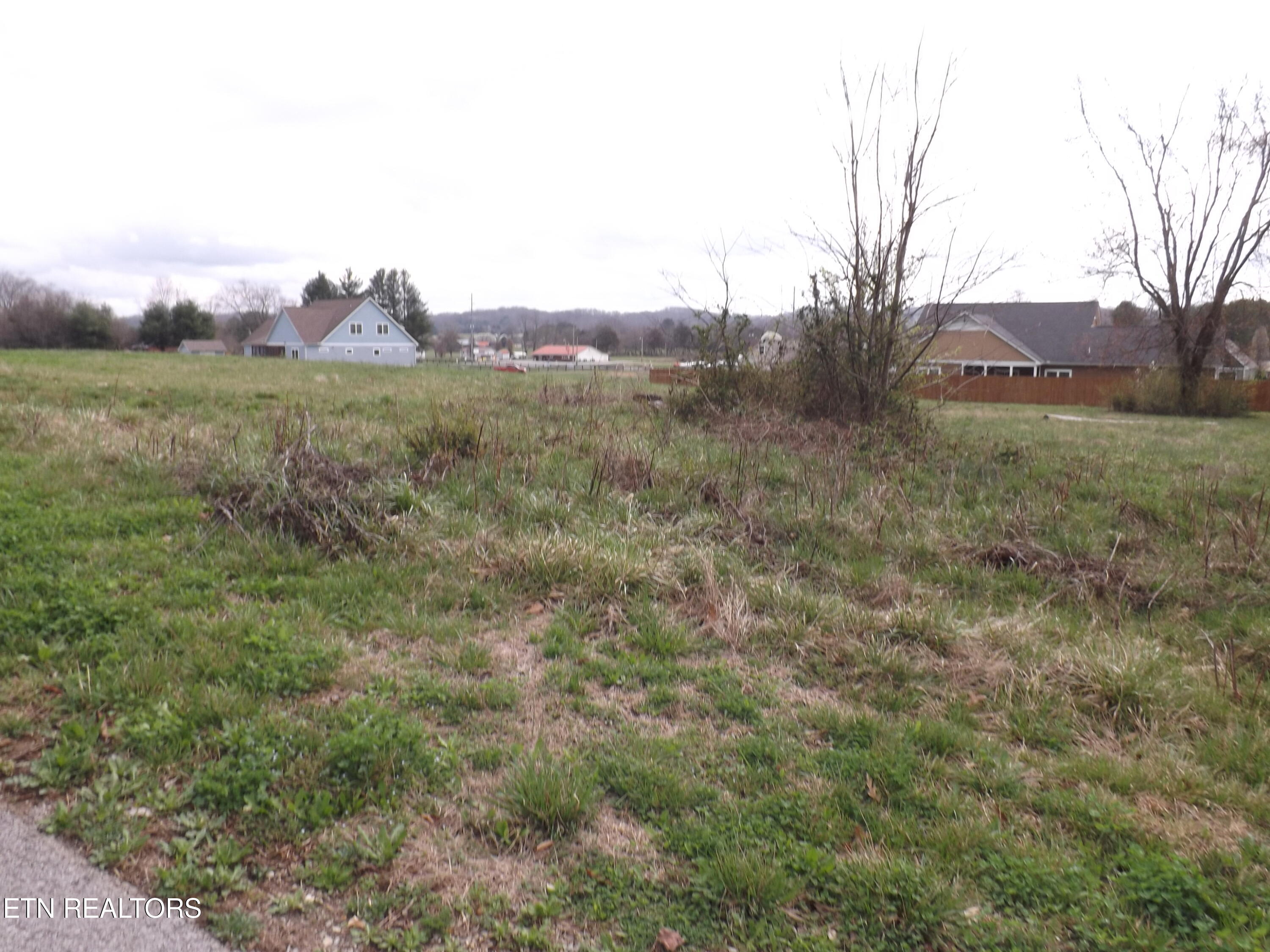 112 Auggie Belle Lane Speedwell TN 37870
