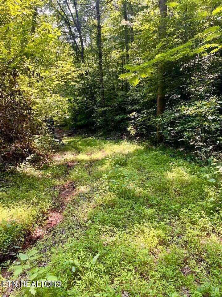3646 Woodcove Circle Maryville TN 37801