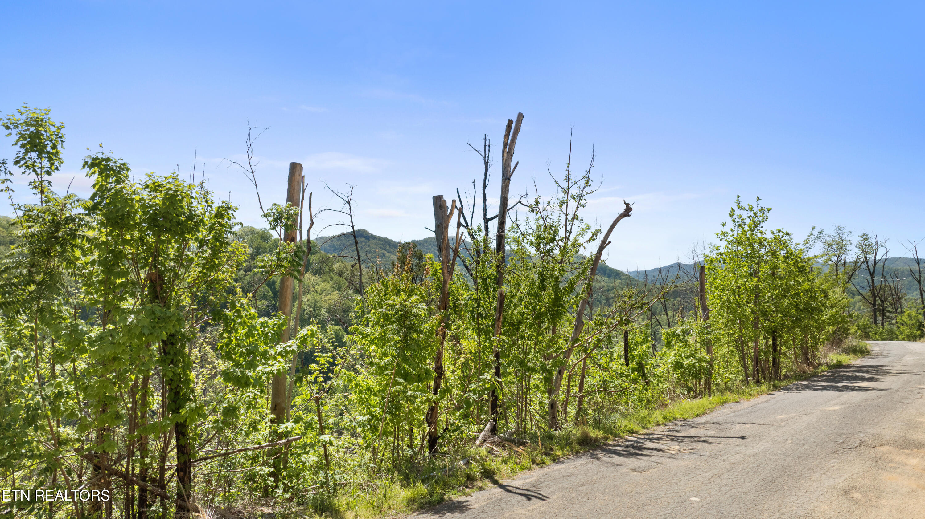 Headrick Lead Sevierville TN 37862