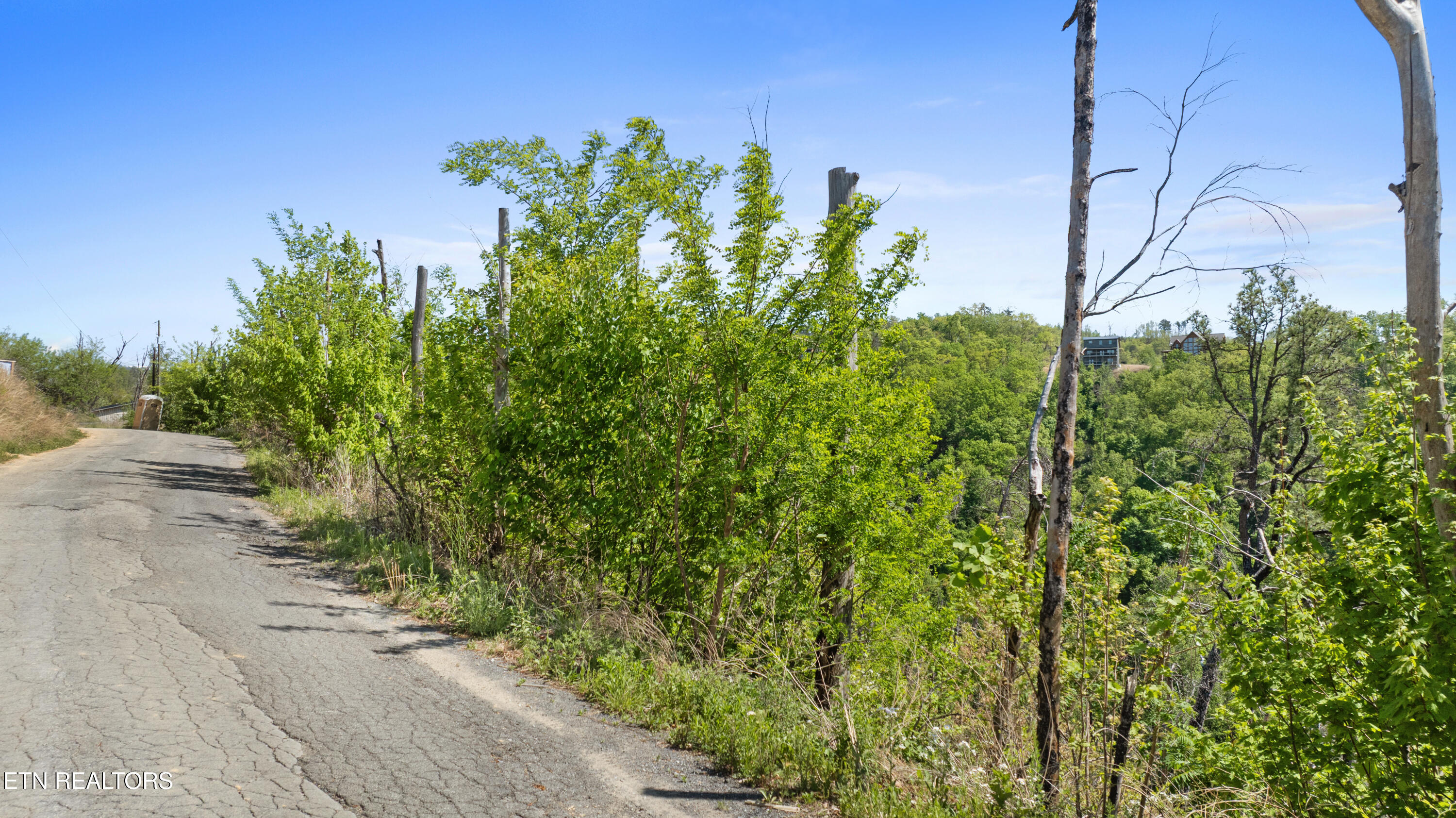 Headrick Lead Sevierville TN 37862