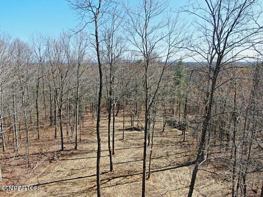 72 Acres Cole Place Road Allardt TN 38504