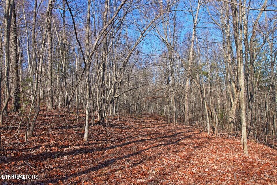 72 Acres Cole Place Road Allardt TN 38504
