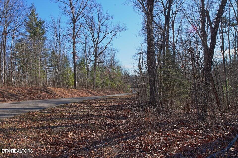 72 Acres Cole Place Road Allardt TN 38504