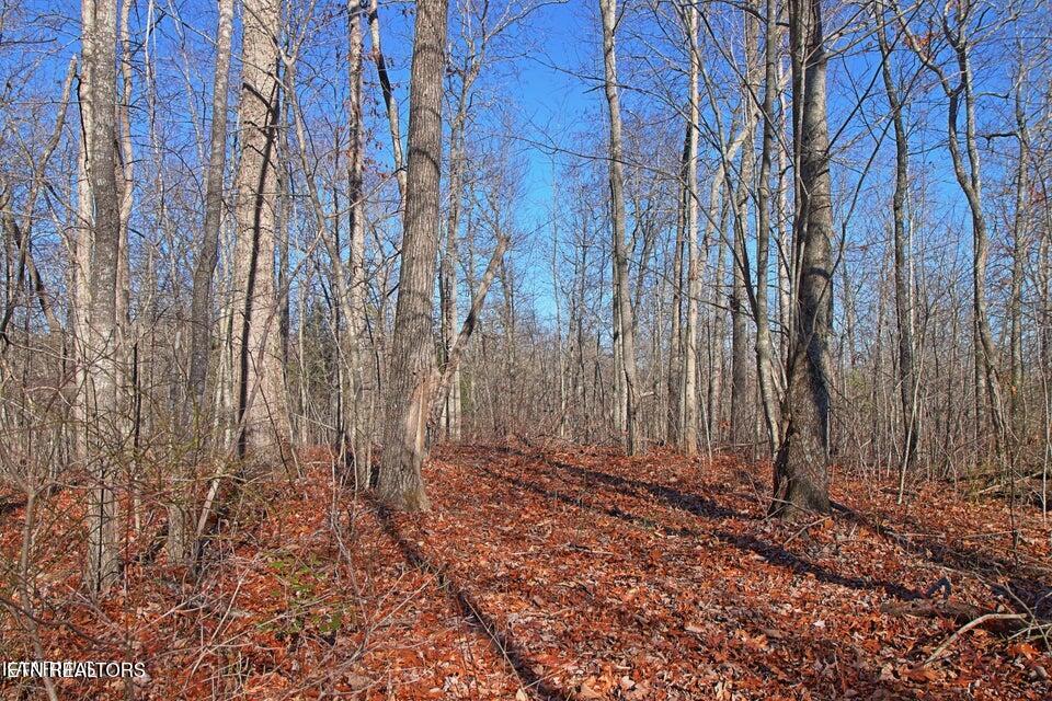 72 Acres Cole Place Road Allardt TN 38504
