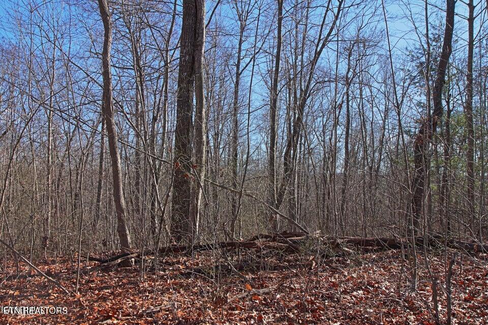 72 Acres Cole Place Road Allardt TN 38504