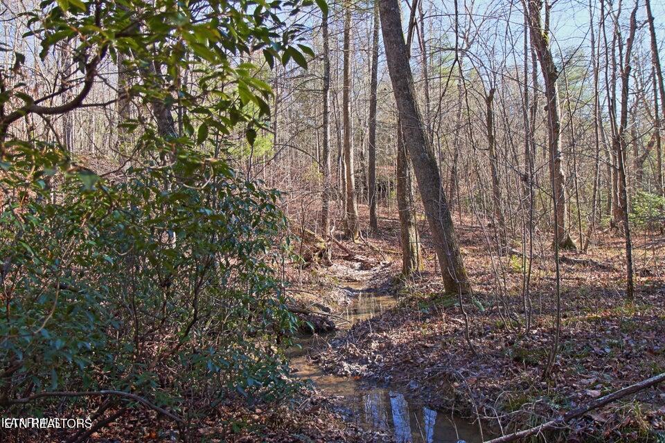 72 Acres Cole Place Road Allardt TN 38504