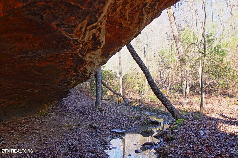 72 Acres Cole Place Road Allardt TN 38504