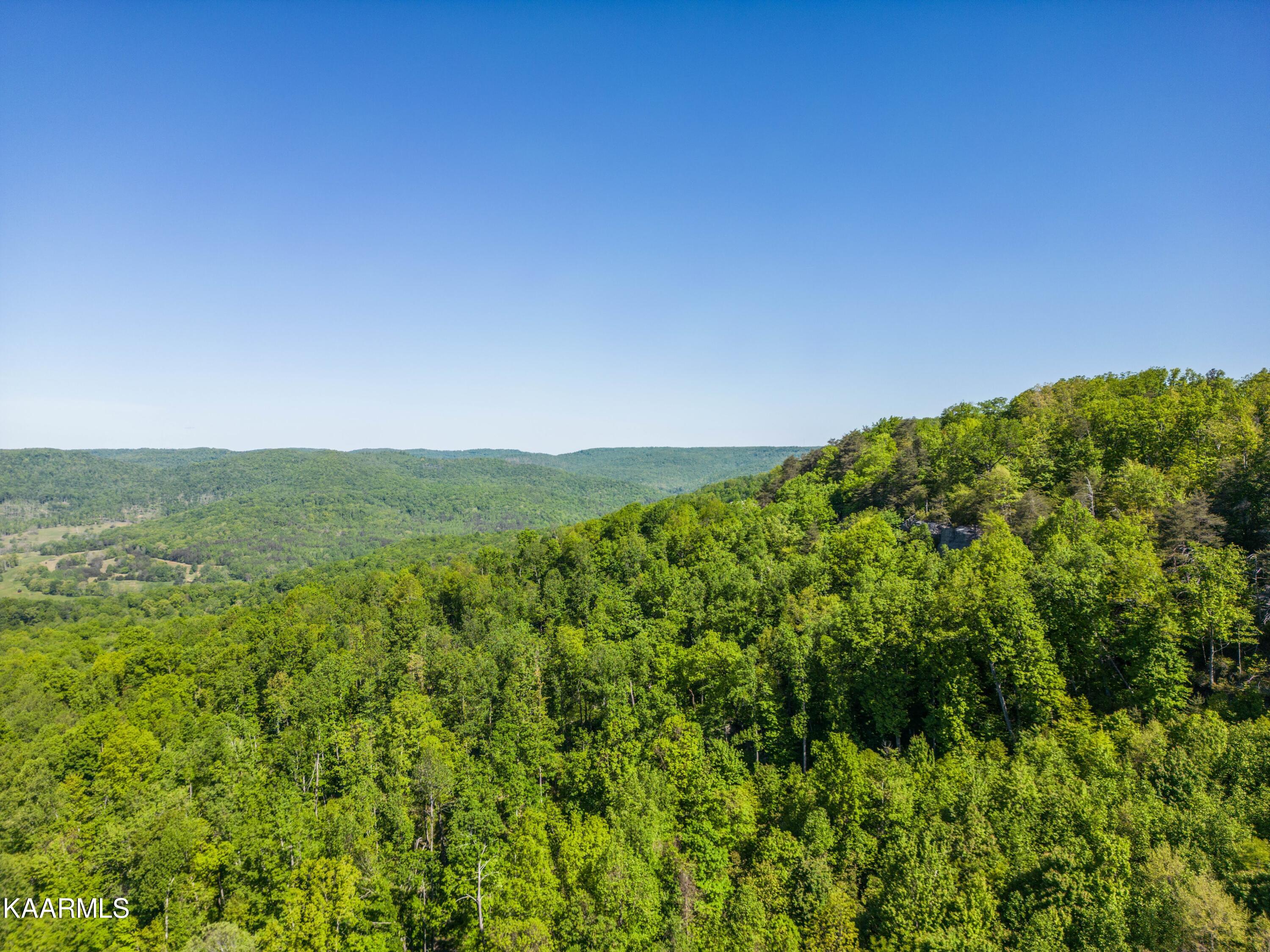 1068 Eastridge Pass Monterey TN 38574