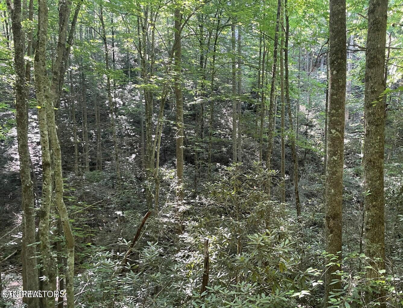 Lot 70 Hazelnut Lane Sevierville TN 37876