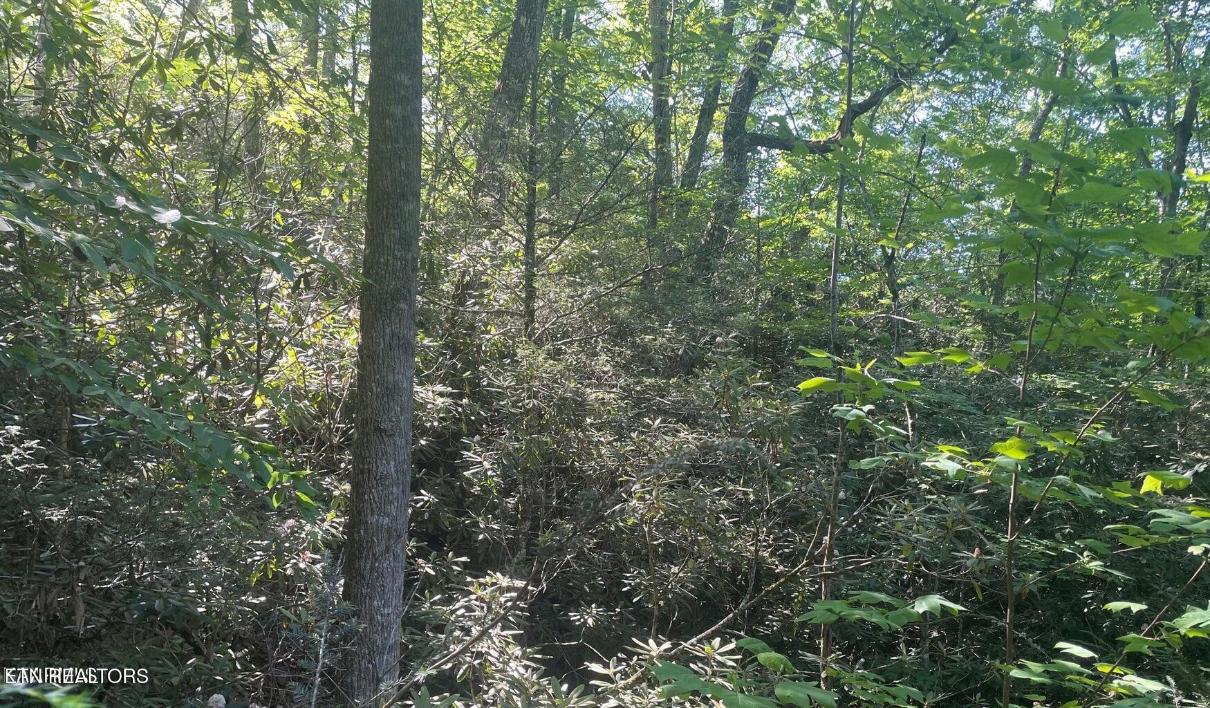 Lot 70 Hazelnut Lane Sevierville TN 37876