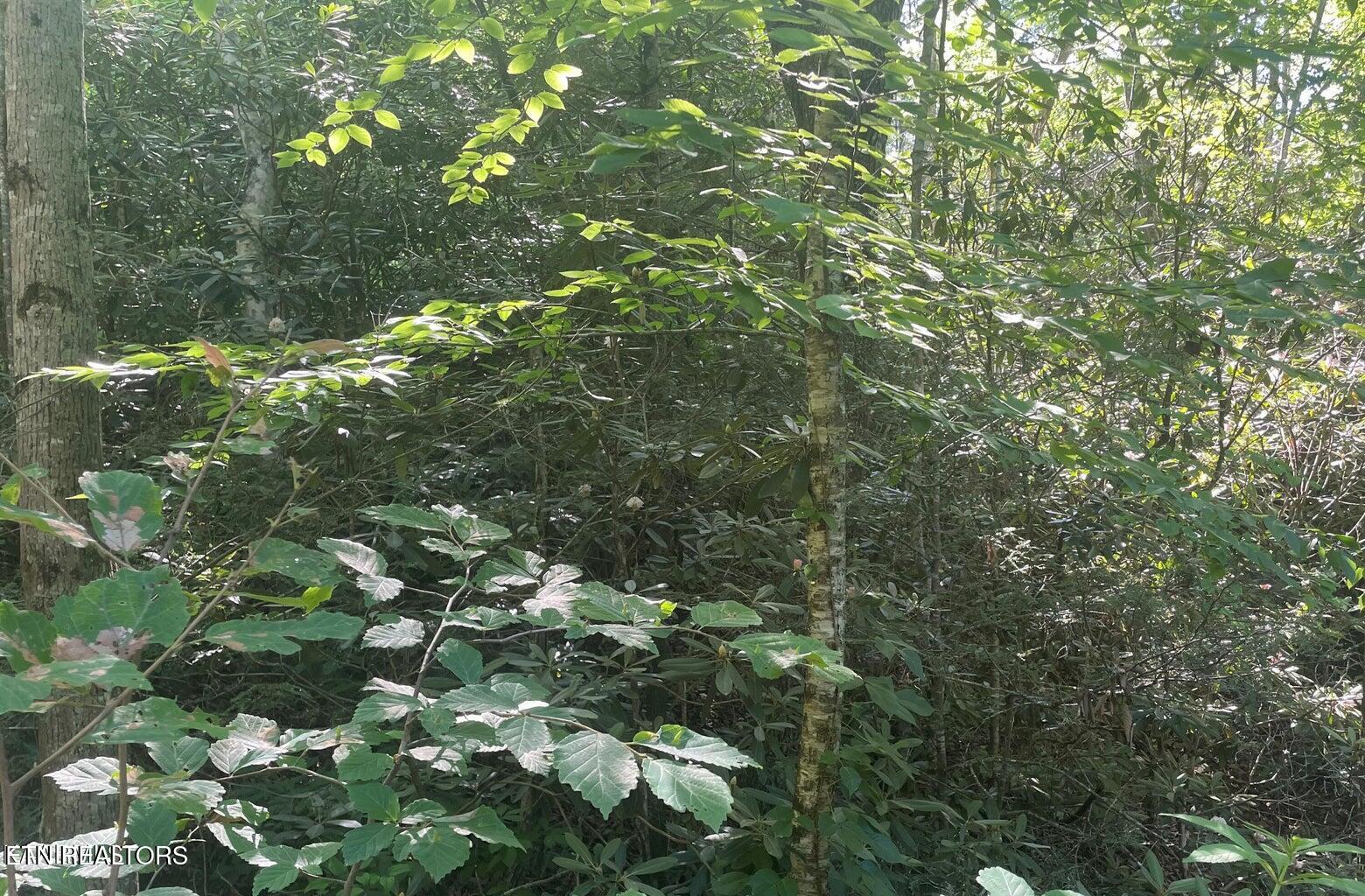 Lot 70 Hazelnut Lane Sevierville TN 37876