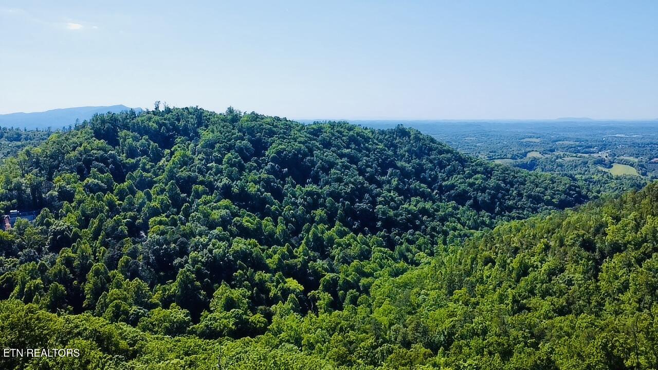 1844 Billard Way Sevierville TN 37876