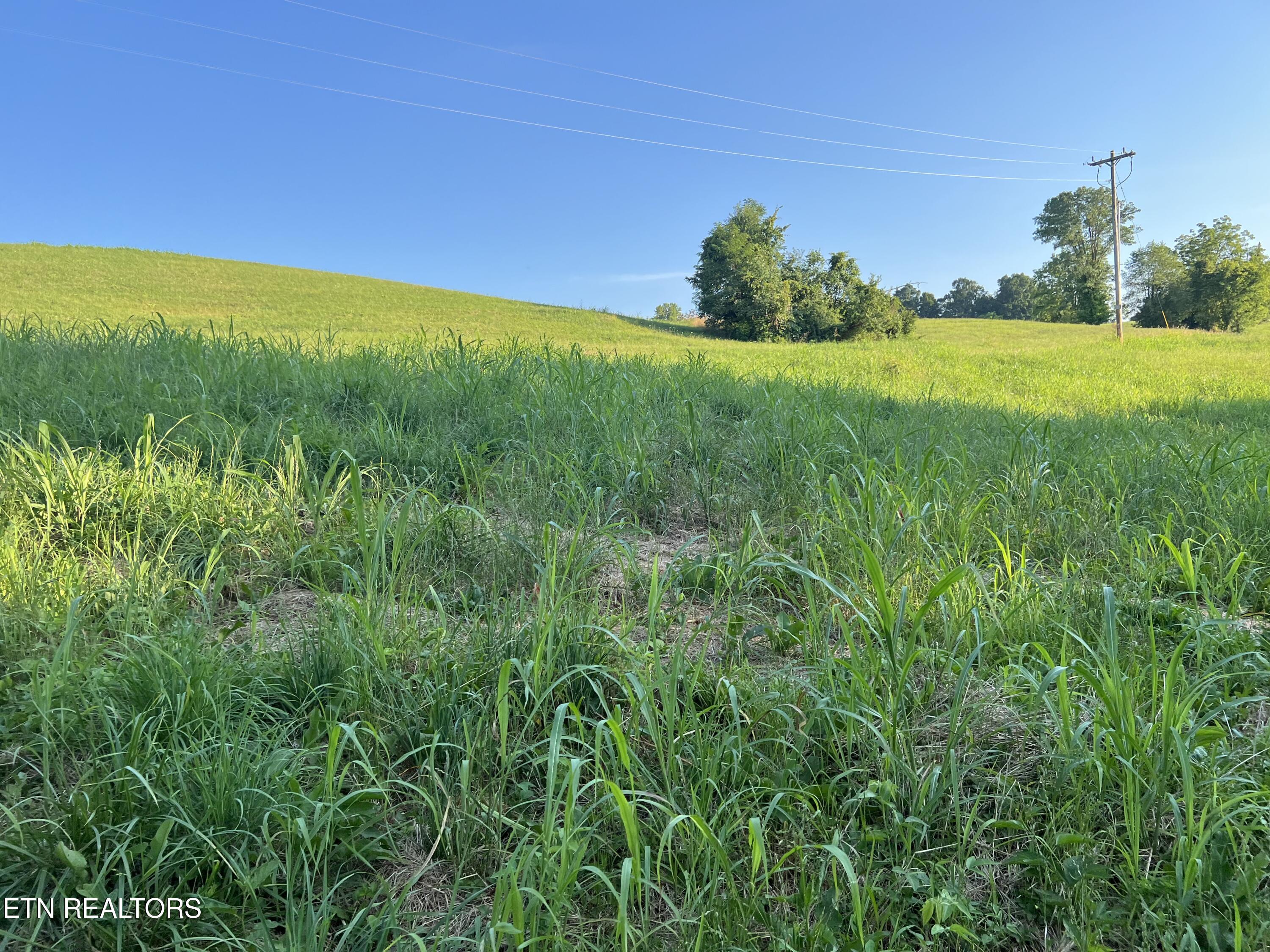 Lot 20 Amonett Circle Byrdstown TN 38549