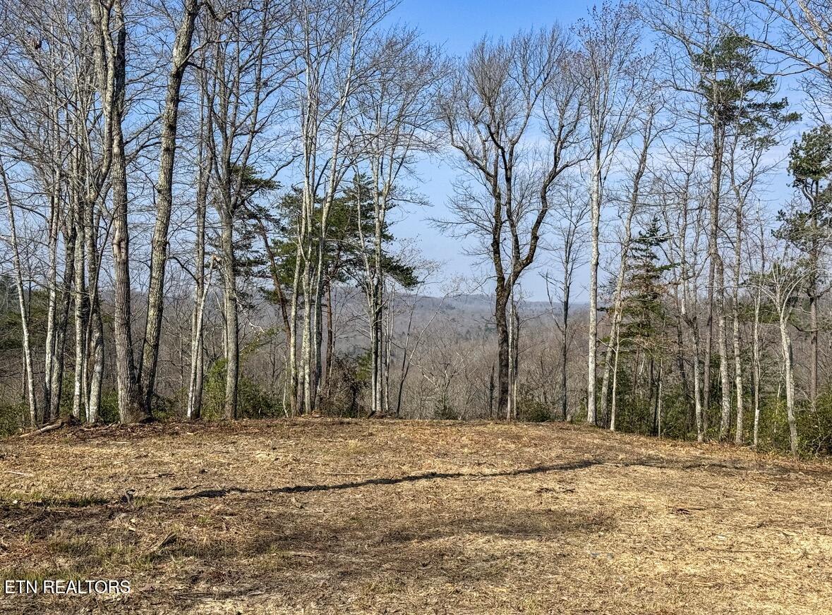 Clifty Creek Road Winfield TN 37892