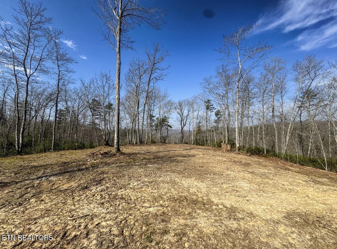 Clifty Creek Road Winfield TN 37892