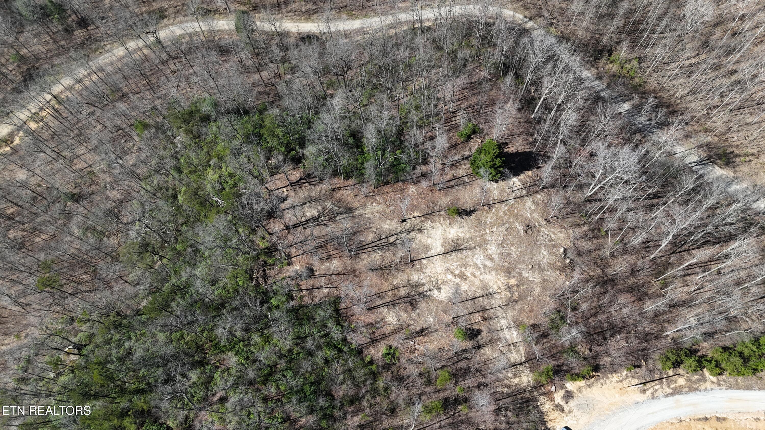 Clifty Creek Road Winfield TN 37892