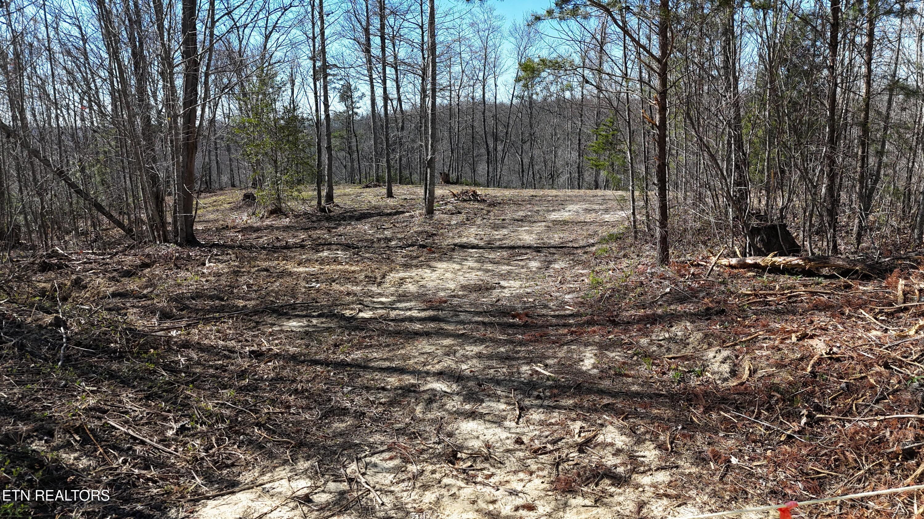 Clifty Creek Road Winfield TN 37892