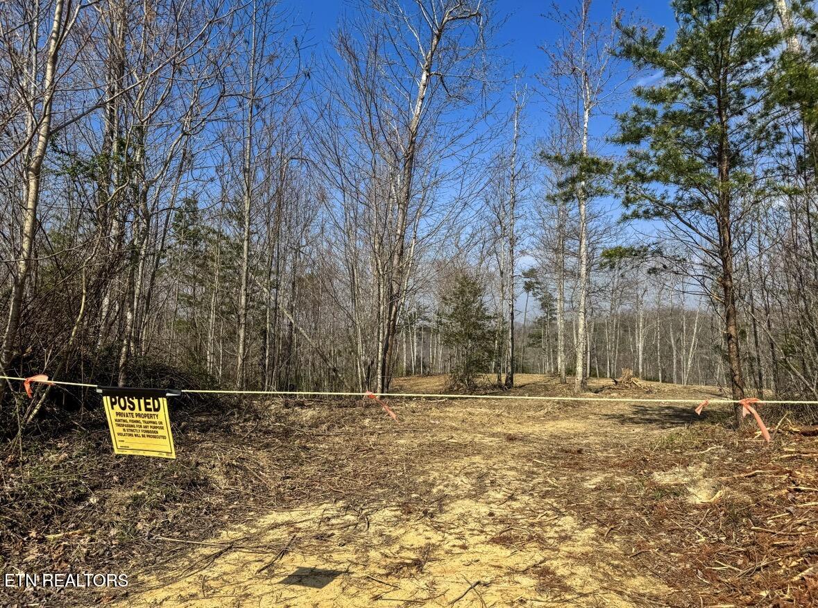 Clifty Creek Road Winfield TN 37892