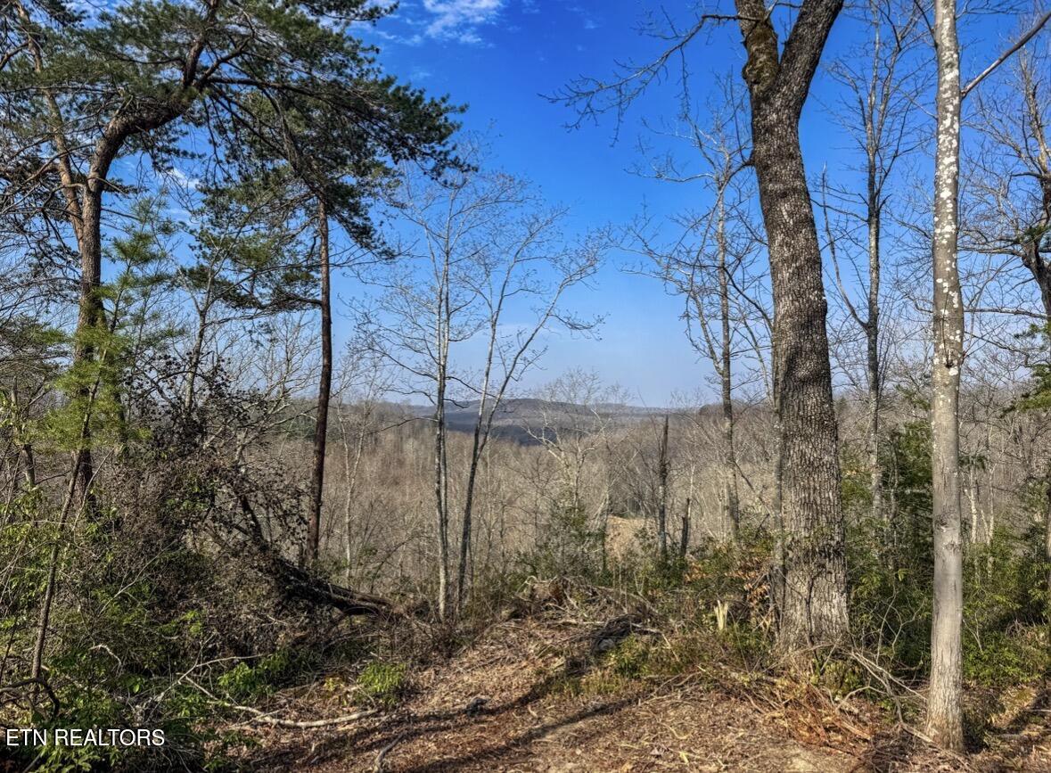 Clifty Creek Road Winfield TN 37892