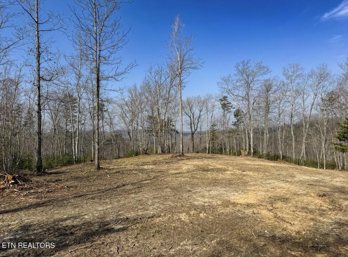 Clifty Creek Road Winfield TN 37892