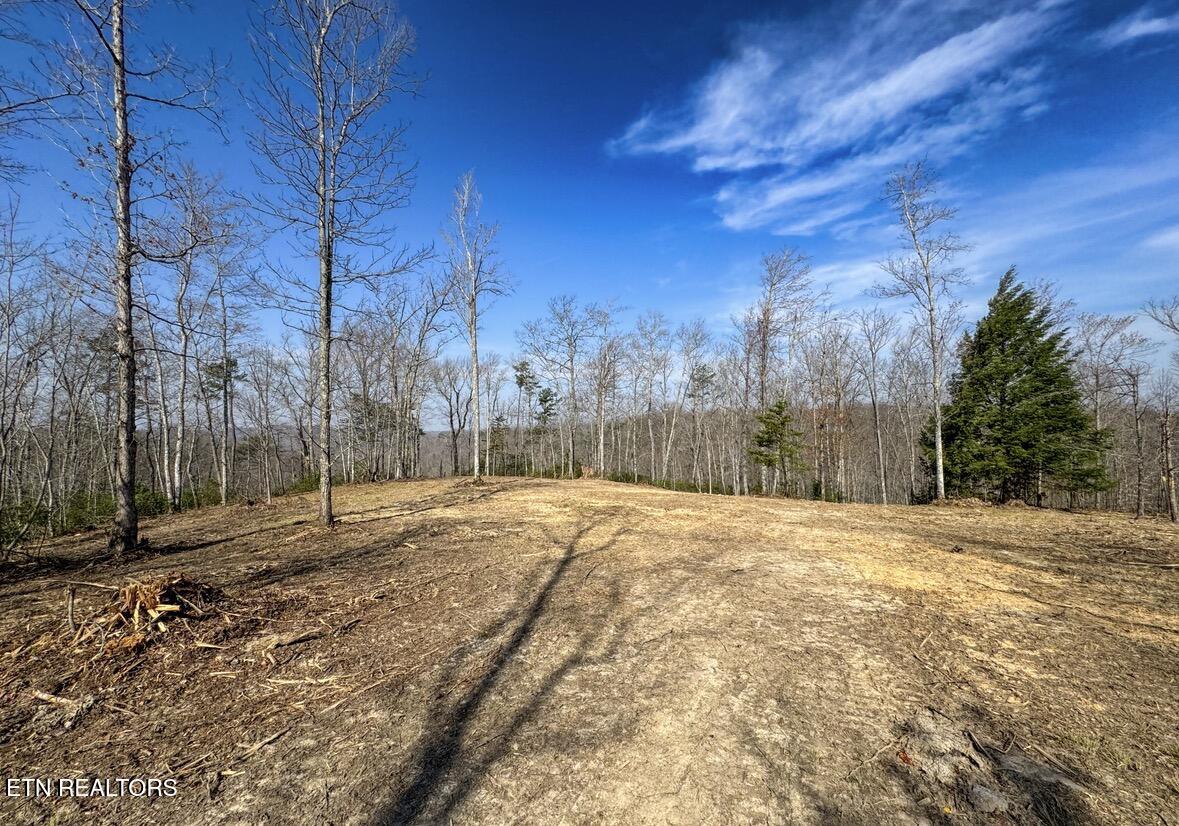 Clifty Creek Road Winfield TN 37892