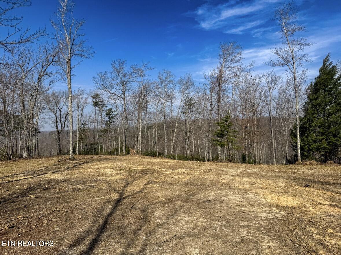 Clifty Creek Road Winfield TN 37892