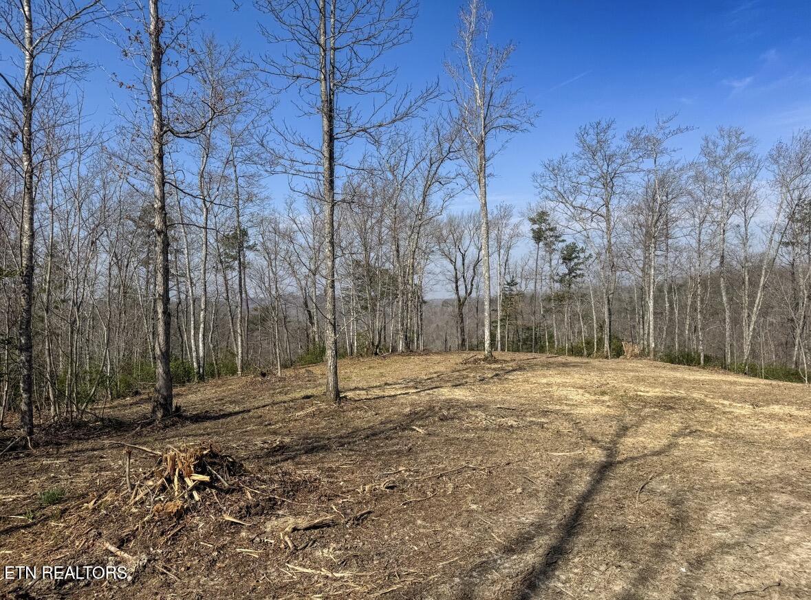 Clifty Creek Road Winfield TN 37892
